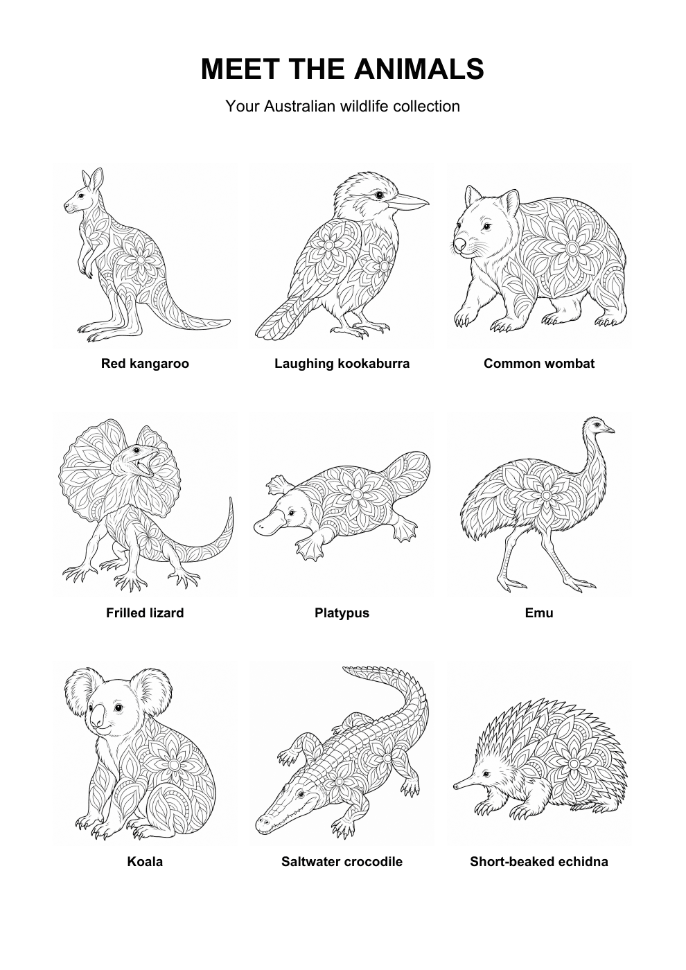 Overview showing all 9 Australian animals