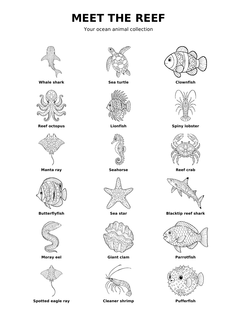 Meet the Reef overview showing all 18 ocean animals