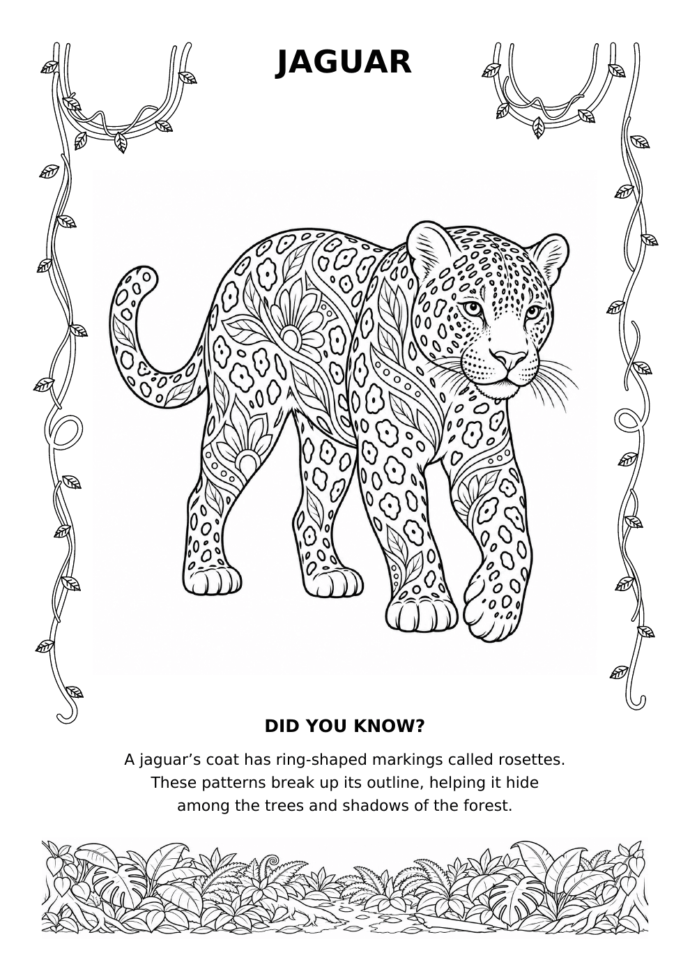 Jaguar colouring page preview