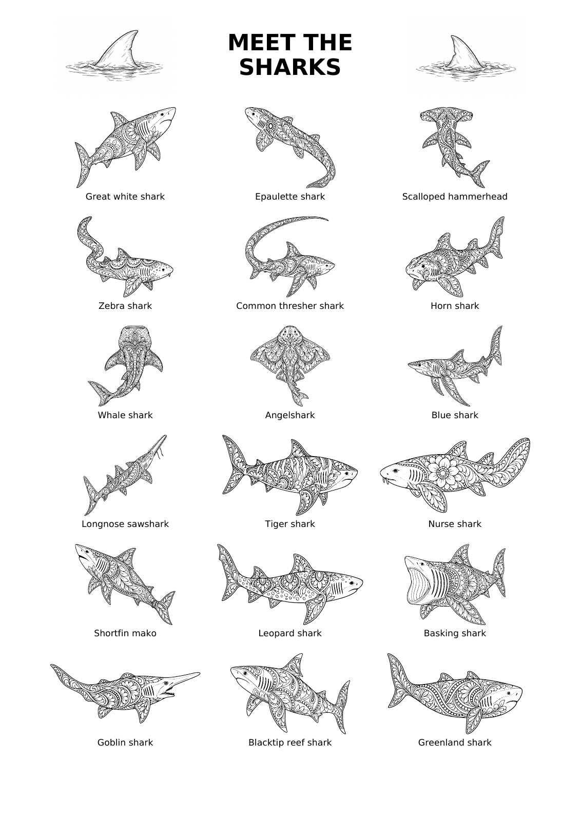 Meet the Sharks overview showing all 18 sharks