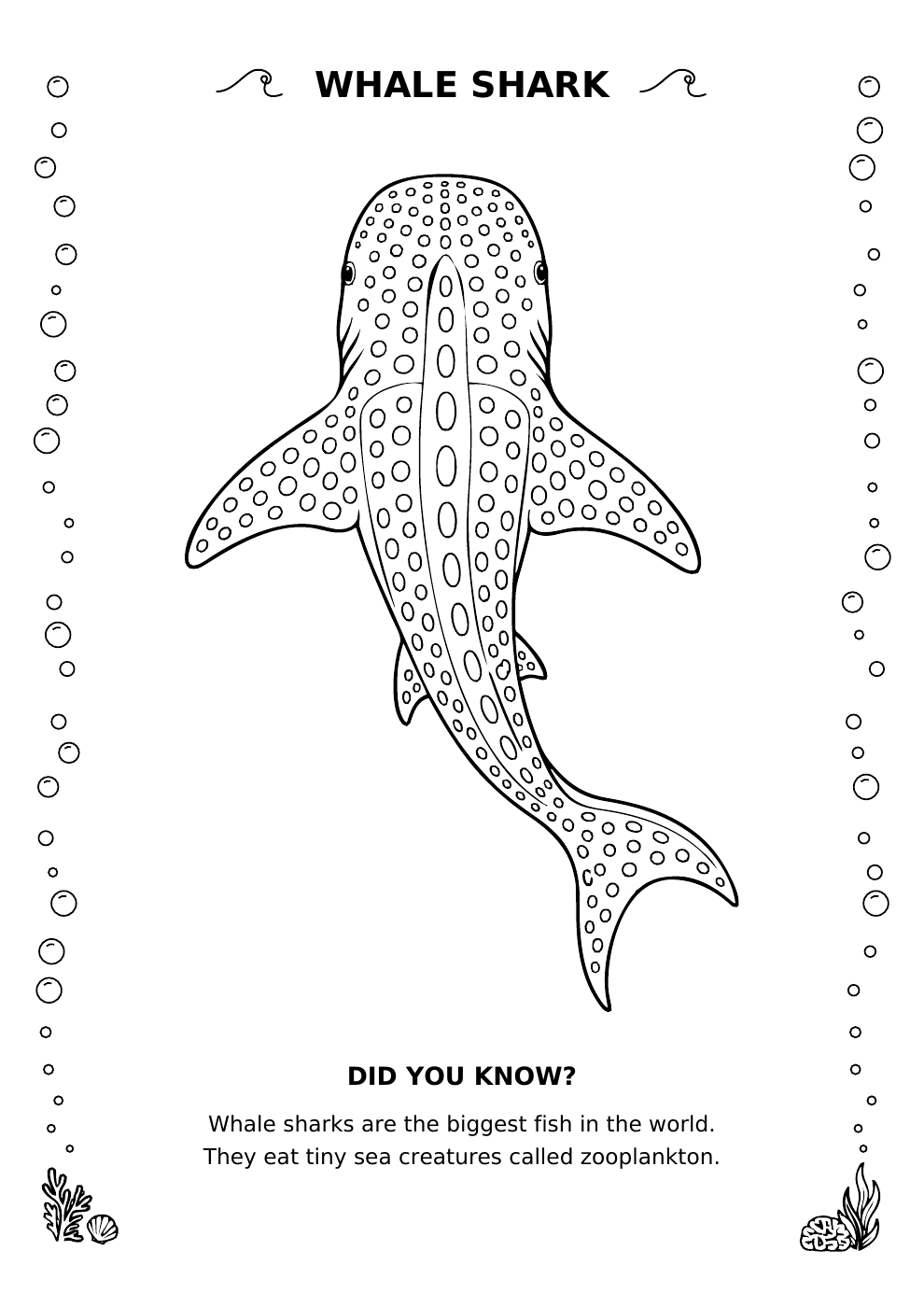 Whale shark colouring page preview